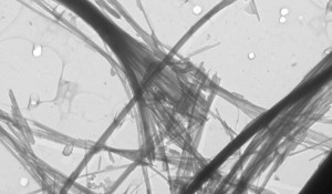 Fibrilles de chrysotile grossies 50 000 fois par microscopie électronique à transmission